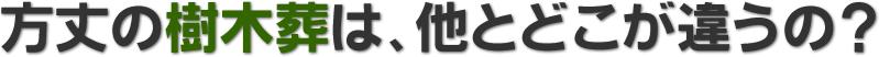 方丈の樹木葬は、他とどこが違うの？